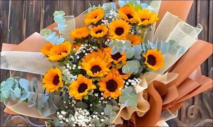 Những bông hoa hướng dương tuyệt đẹp