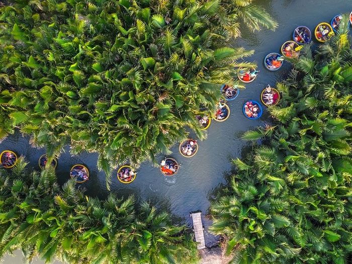 Review of Bai Mau Coconut Forest Hoi An: Detailed 2025 Experience and Ticket Prices