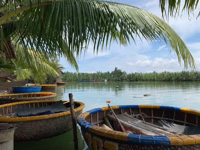Review of Bai Mau Coconut Forest Hoi An: Detailed 2025 Experience and Ticket Prices