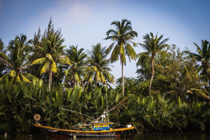 Exploring the Bay Mau Coconut Forest in Hoi An: A detailed guide and ticket prices for 2025 - January edition