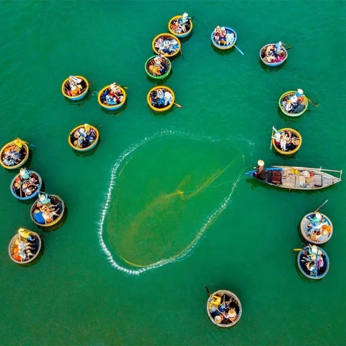 Review of the Bay Mau Coconut Forest in Hoi An: Detailed experience and ticket prices for 2025