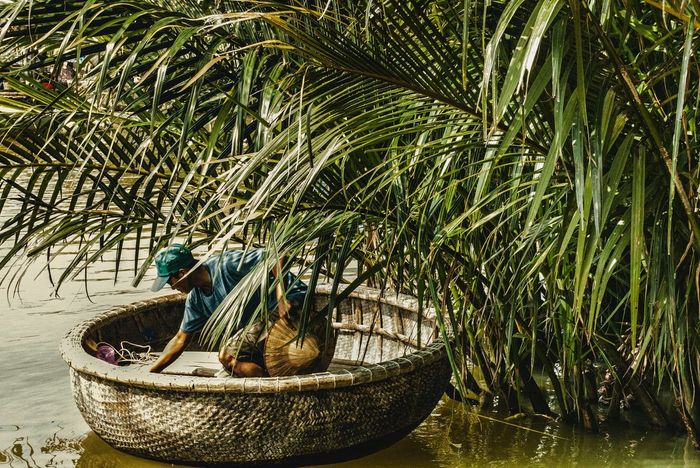 Exploring the Bay Mau Coconut Forest in Hoi An: A detailed guide and ticket prices for 2025 - January edition