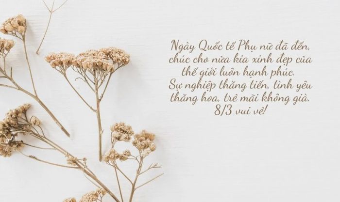 Những lời chúc ý nghĩa dành cho ngày 8/3