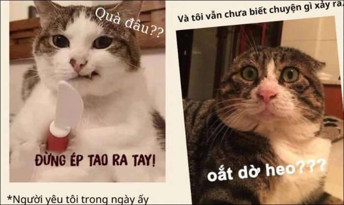Tình huống đãng trí trong ngày 20/10