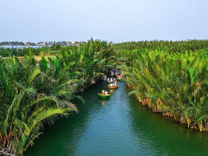 Review of the Bảy Mẫu Coconut Forest in Hội An: Experience and Detailed Ticket Prices for 2025 (Part 4)