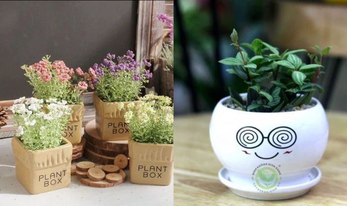 Tặng chậu hoa nhỏ nhắn dễ thương làm quà tặng cho nhân viên nữ