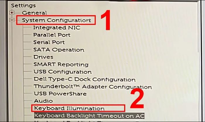 Tiếp theo, chọn System Configuration và nhấn vào Keyboard Illumination