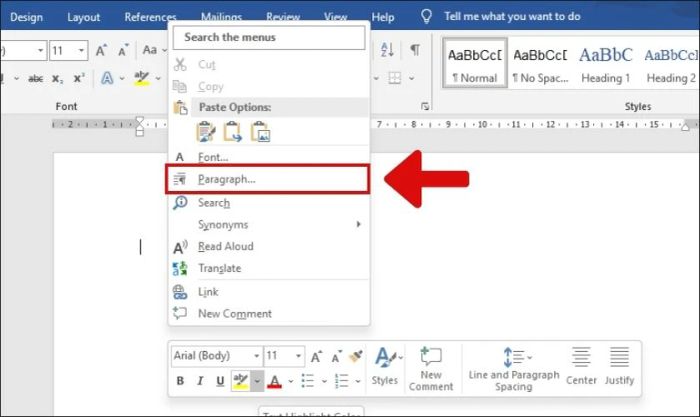 Giao diện của mục Paragraph.
