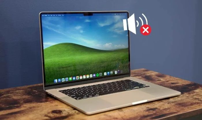 Loa bị hỏng do va đập mạnh