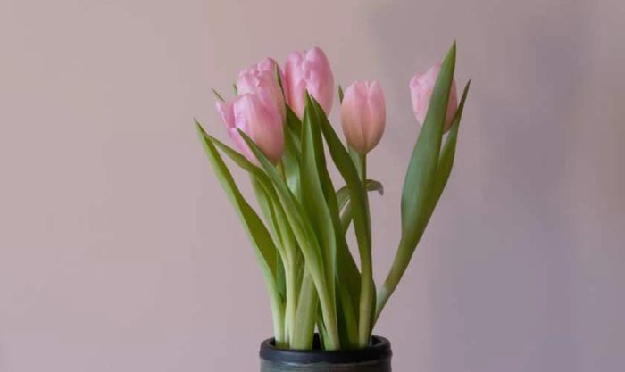 Hình ảnh quà Valentine ý nghĩa