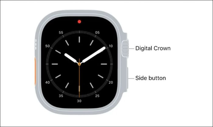 Nhấn và giữ cùng lúc nút bên cạnh và nút Digital Crown để khởi động lại