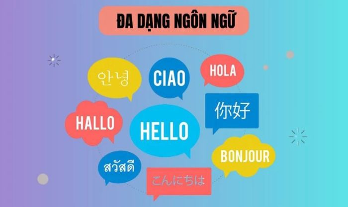 ROM quốc tế thường tích hợp khả năng hỗ trợ nhiều ngôn ngữ khác nhau.