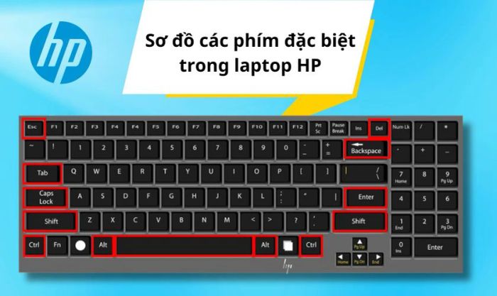Hướng dẫn chi tiết cách sử dụng bàn phím laptop HP