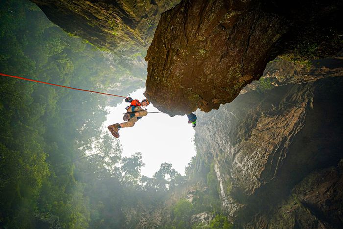 Jungle Boss Tours Image 2