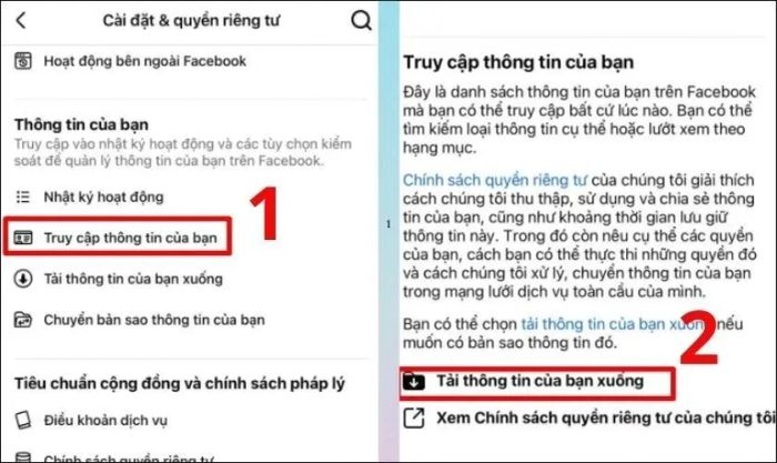 Cuộn xuống để tìm mục Truy cập thông tin của bạn. Sau đó, nhấn vào Tải thông tin của bạn xuống