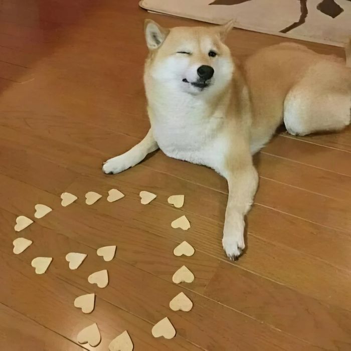 hình ảnh meme về tình yêu