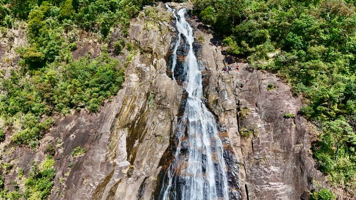 Jungle Boss Tours Image 1