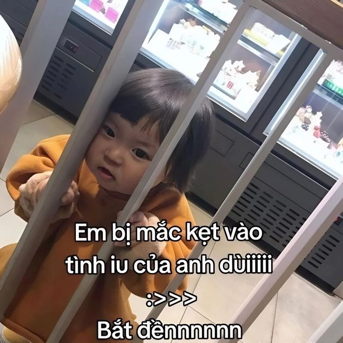 meme liên quan đến tình yêu