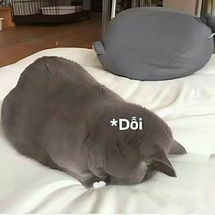hình ảnh meme về tình yêu