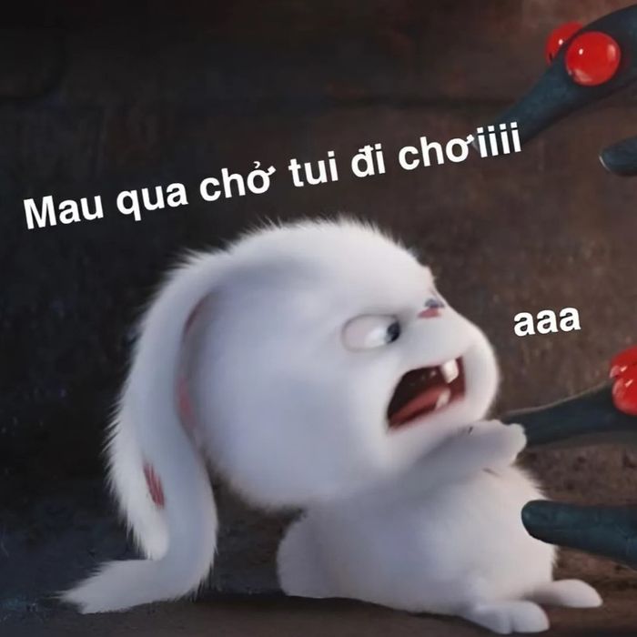 meme về chủ đề tình yêu
