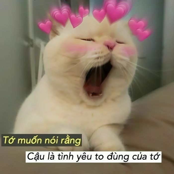 meme tình yêu vui nhộn