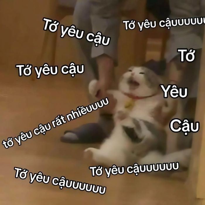 meme tình yêu dễ thương
