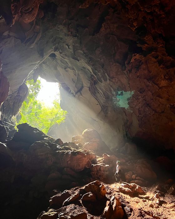 Chua Me Dat Company Limited (Oxalis Co., Ltd) Image 1