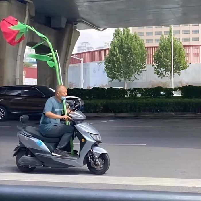 meme tình yêu vui nhộn