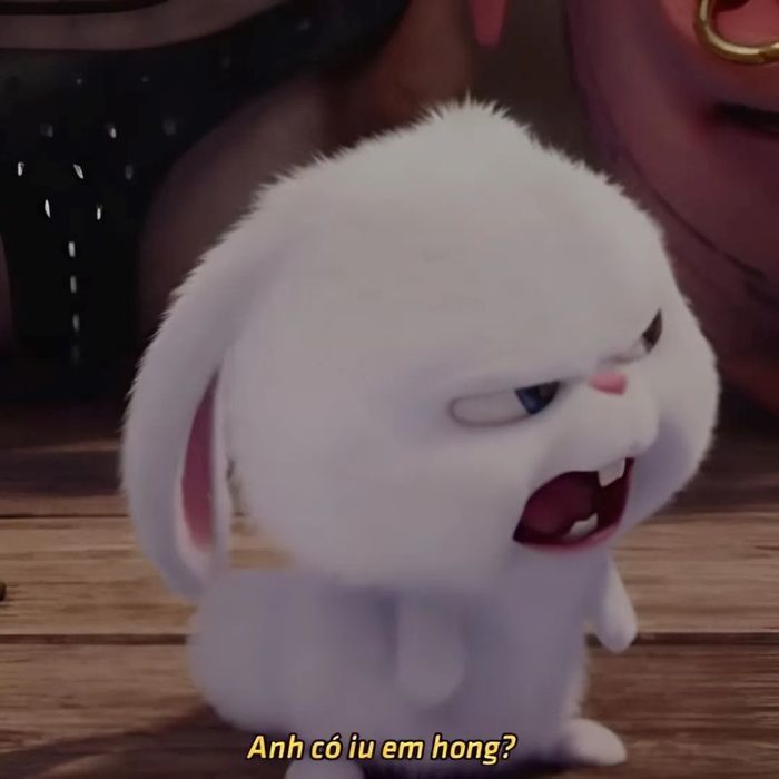 Những hình ảnh meme về chủ đề tình yêu