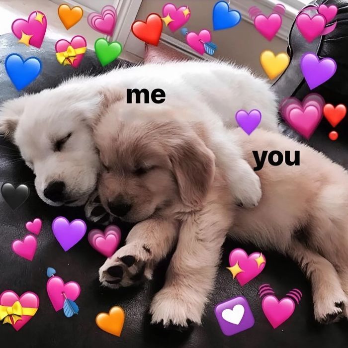 meme tình yêu dễ thương