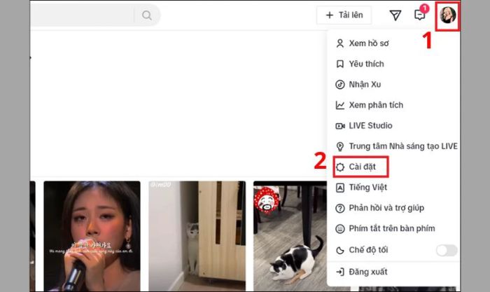 Muốn có 1000 follow trên TikTok? Hãy thiết lập tài khoản công khai để dễ dàng thu hút người theo dõi.