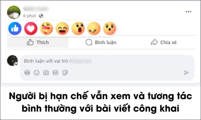 Người bị hạn chế trên Facebook có thể xem được những nội dung nào mà tôi đăng tải?