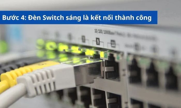 Nếu đèn tín hiệu trên Switch sáng, kết nối đã thành công