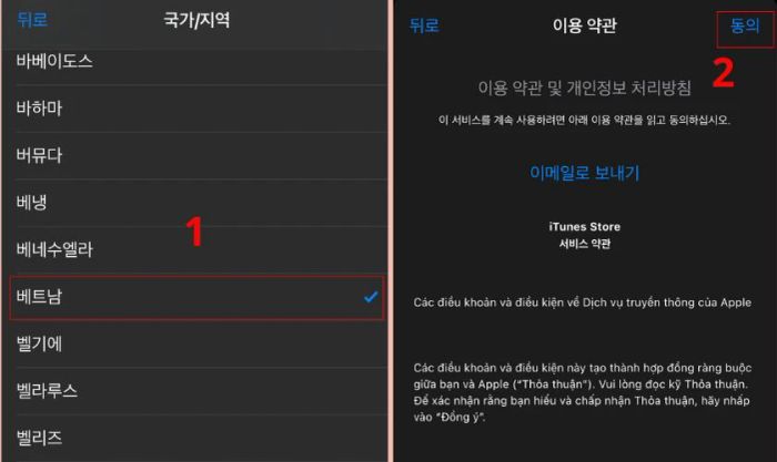 Chọn Việt Nam và nhấn Đồng ý để hoàn tất quá trình