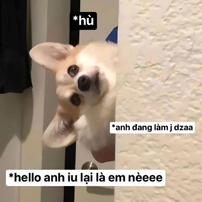 meme tình yêu vui nhộn