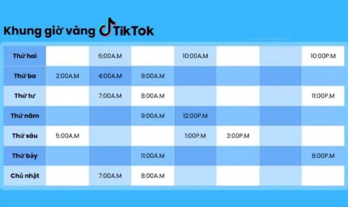 Đăng video TikTok vào khung giờ vàng là cách nhanh nhất để lên xu hướng