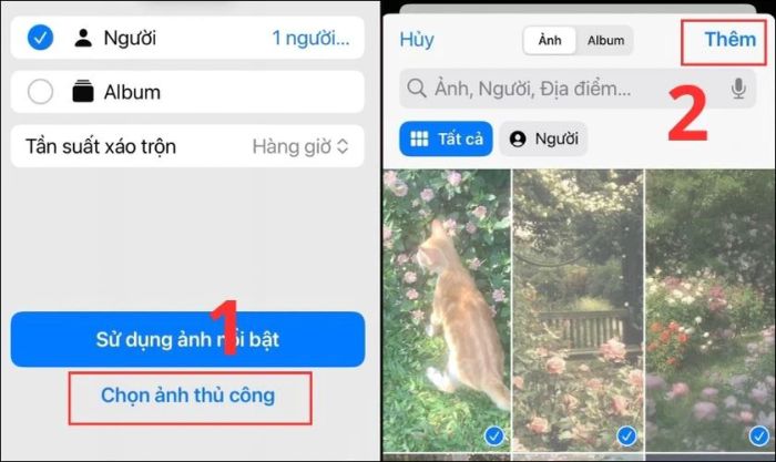 Chọn những bức ảnh bạn muốn sử dụng làm hình nền cho iPhone của mình