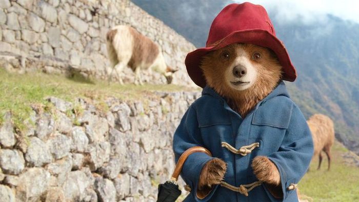Chú gấu Paddington vô cùng đáng yêu và có trái tim nhân hậu