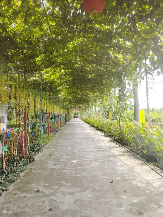 Hai Dang Experience Tourism Image 1