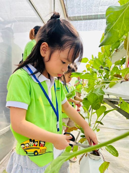 STEAM LAND Educational Farm image 1