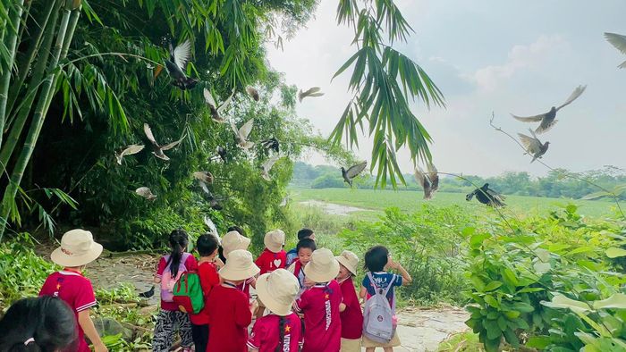 STEAM LAND Educational Farm image 2