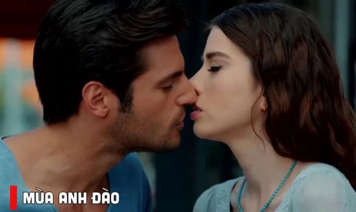 Mùa Anh Đào mang đến một câu chuyện tình yêu ngọt ngào và đầy lãng mạn
