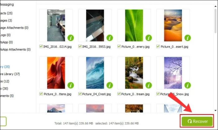Nhấn Recover để khôi phục ảnh đã chọn
