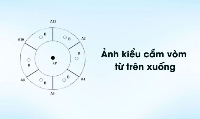 Cách cắm hoa cát tường ngày Tết theo kiểu vòm tròn