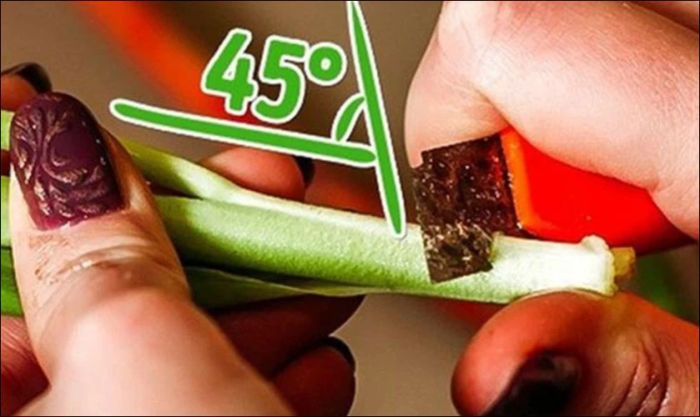 Mẹo giữ hoa tươi lâu sau khi cắm: Cắt gốc 45 độ