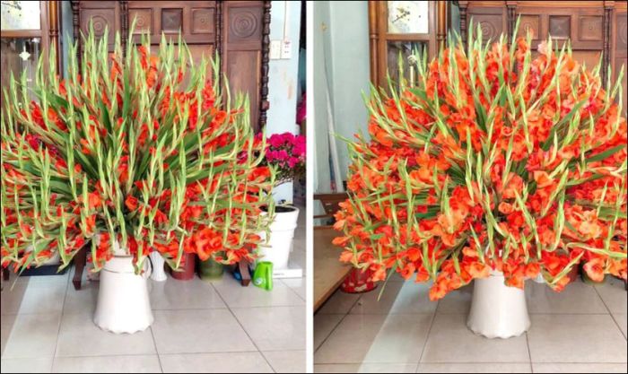 Cắm hoa dơn chưng phòng khách ấn tượng