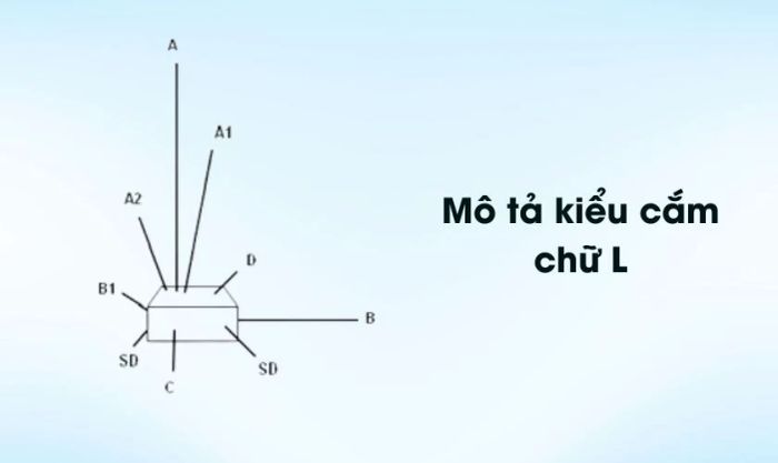 Cách cắm hoa cát tường ngày Tết theo kiểu chữ L