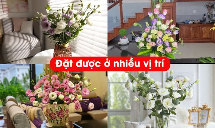 Có nên cắm hoa cát tường trong ngày Tết không?
