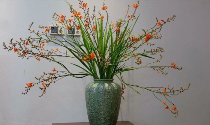 Cắm hoa dơn kết hợp với lúa chưng Tết sang trọng