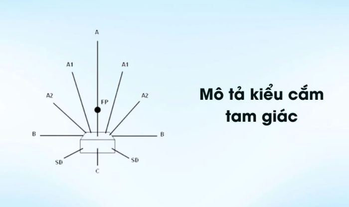 Cách cắm hoa cát tường ngày Tết theo kiểu hình tam giác